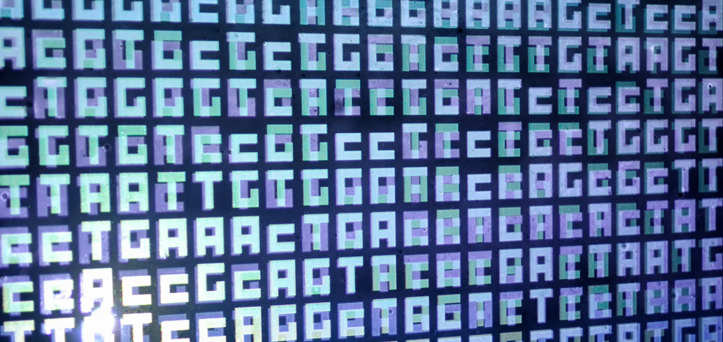 Single letters on a screen C, T, G, A, projected on top of each other (two sides)