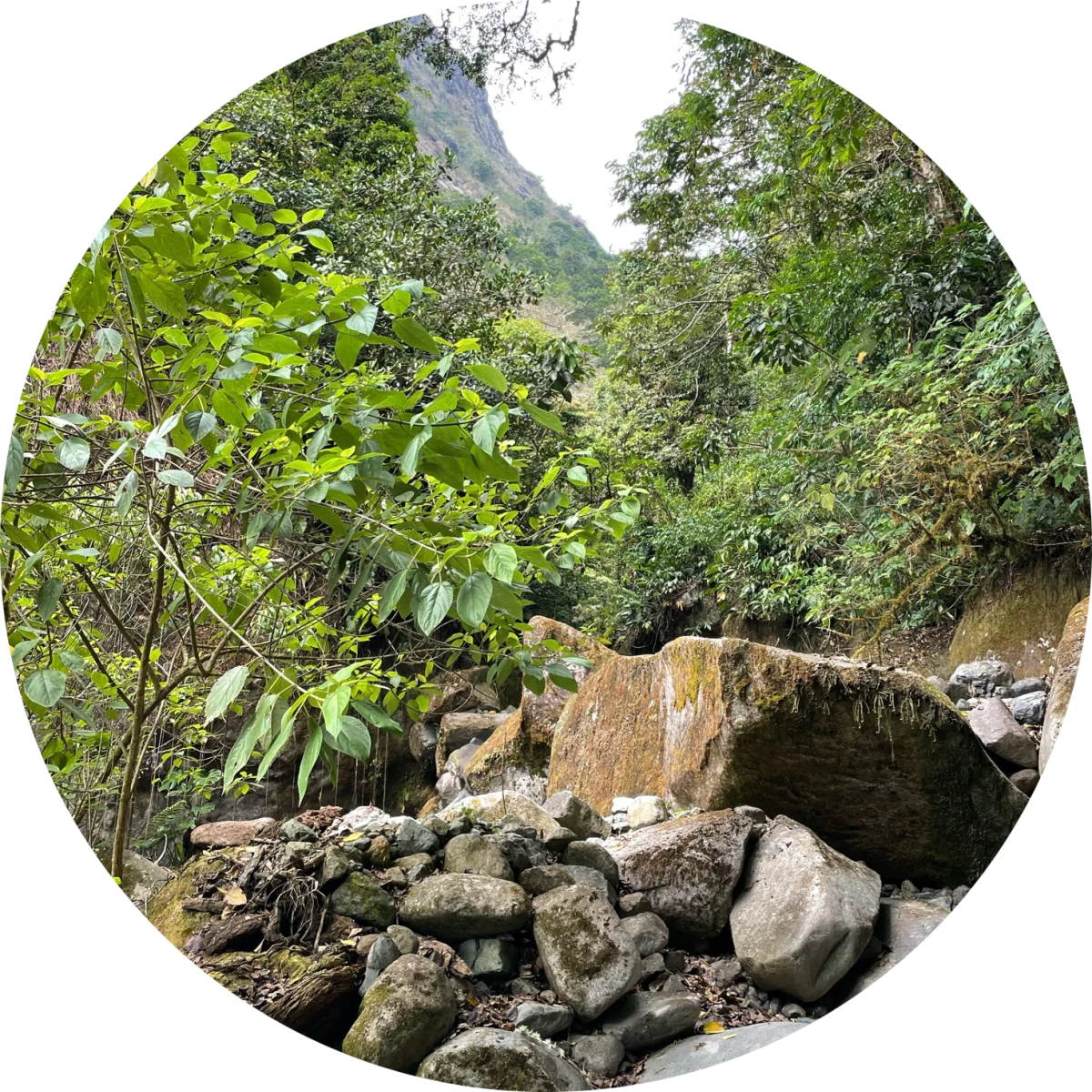 Riverbed in Angel Arriba with a yellow rotating radar gradient on top